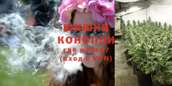 дживик Краснослободск