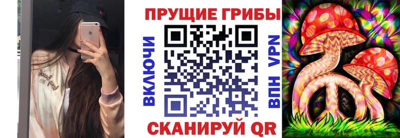 продажа наркотиков  Пионерский  Псилоцибиновые грибы Cubensis 