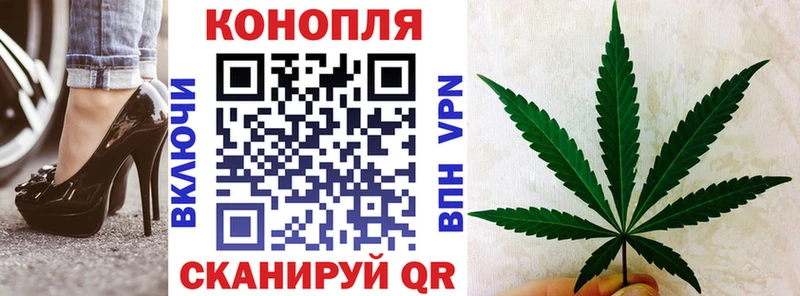 Бошки марихуана LSD WEED  купить наркоту  blacksprut ссылки  Пионерский 